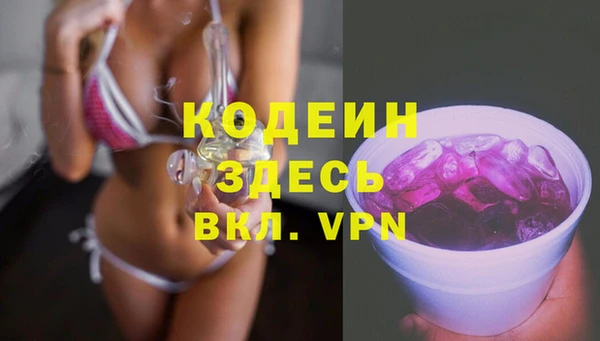 молекула духа Киренск