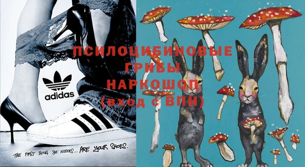 спиды Карталы