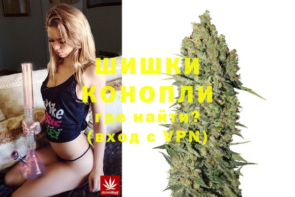 прущие грибы Карпинск