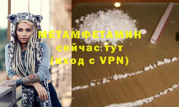прущие грибы Карпинск
