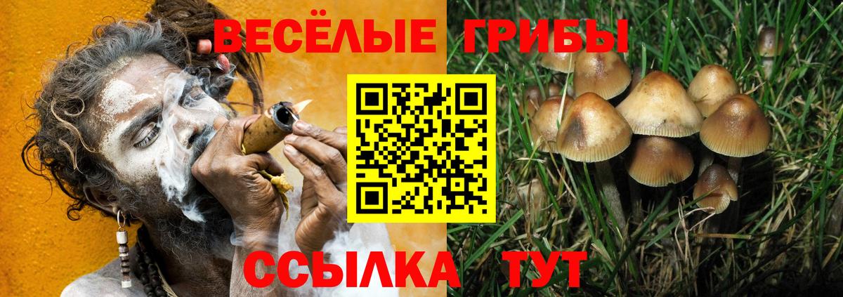 Псилоцибиновые грибы Psilocybine cubensis Ливны