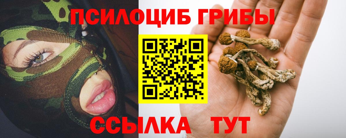 купить наркотик  Вход с VPN  Ливны  Псилоцибиновые грибы Psilocybine cubensis  Псилоцибиновые грибы Magic Shrooms 